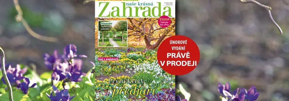 Naše krásná zahrada únor 2026