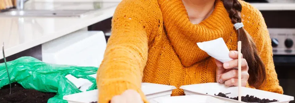 Moderní vychytávky pro pěstování 