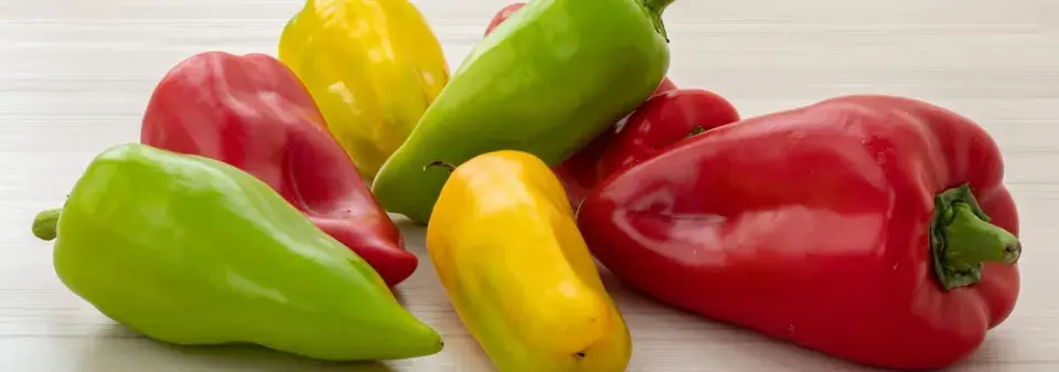 Odrůda paprik Ornela překvapí chutí i velikostí. Vysejte si jí už nyní