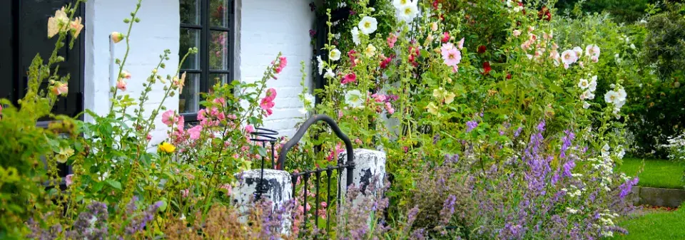 Předzahrádka u domu