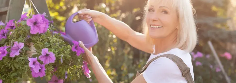 Pěstování muškátů a petúnií