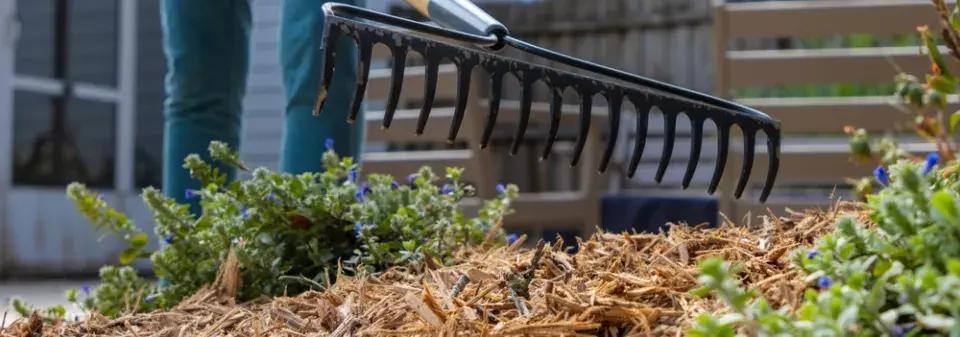 Pátek 13. na zahradě