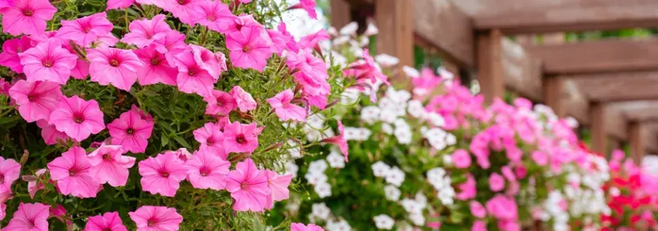 Nejkrásnější balkon