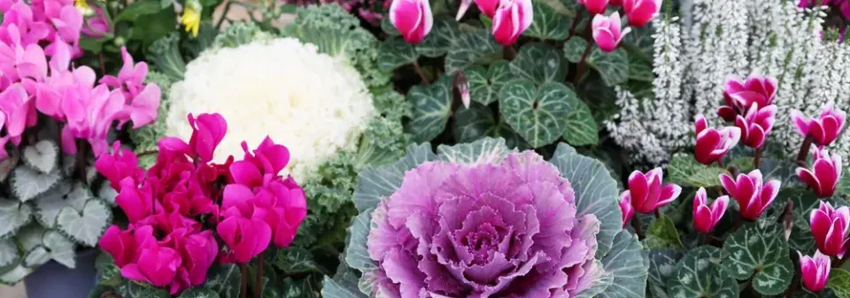 Osázení balkonu směrovaného na jihozápad