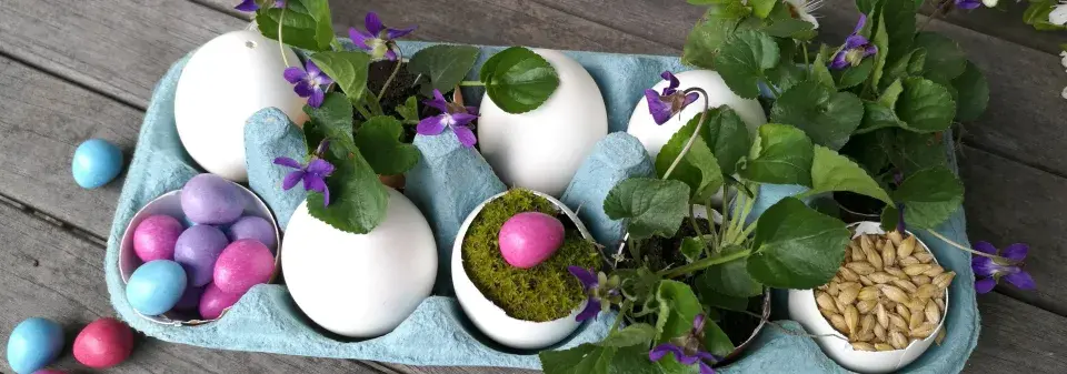 velikonoční dekorace, fialky
