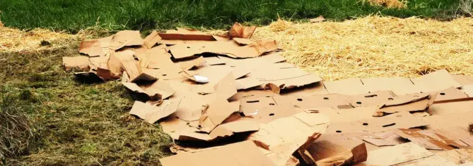 Odstranění plevele 