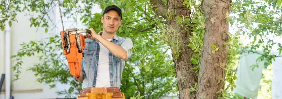 Stávající dřeviny v zahradě