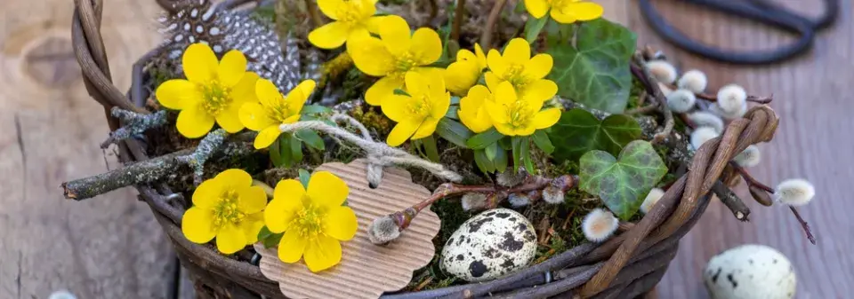 Pašijový týden v zahradě: Květiny, tradice a jarní probuzení
