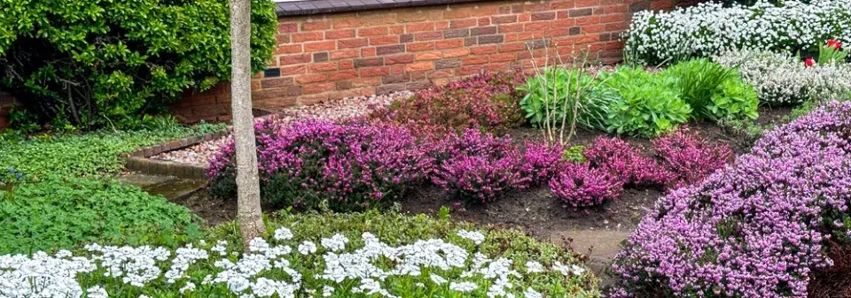 Bezúdržbová zahrada