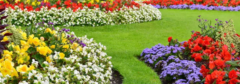 Oddělení záhonu od trávníku