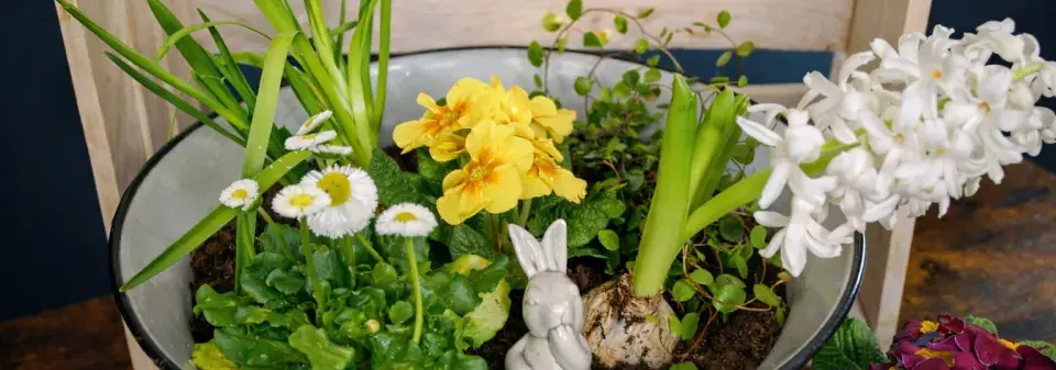  Jarní minizahrádka: inspirace, která promění obyčejnou nádobu v malý kvetoucí svět