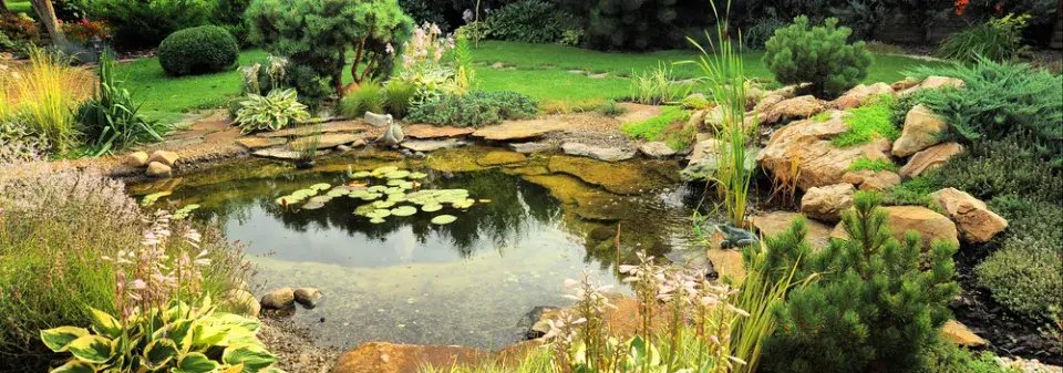 Přírodní jezírko