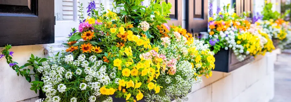 Balkonové truhlíky