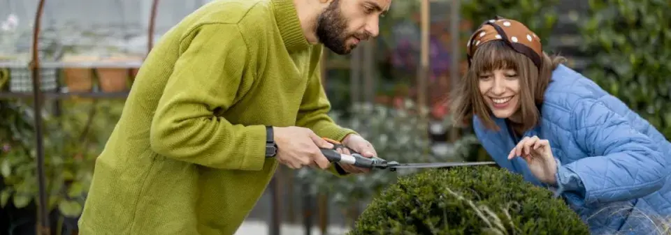 Tvarované dřeviny v zahradě