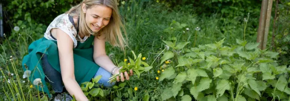  Jedlé bylinky rostou všude