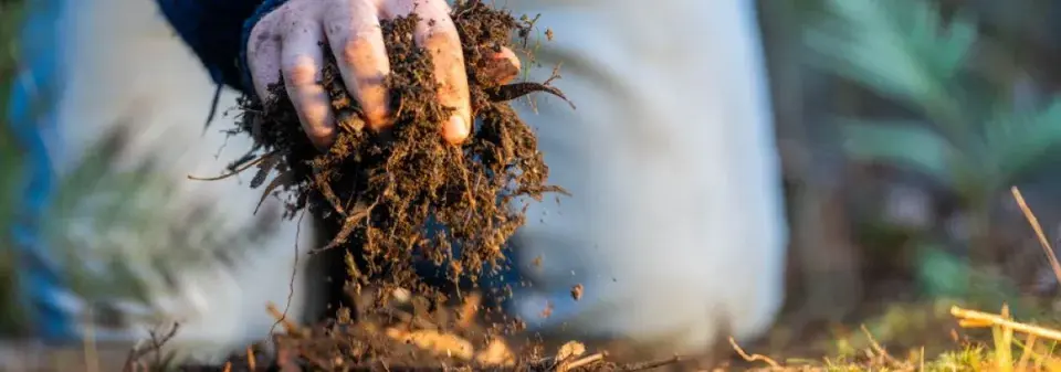 Kompostování na zahradě