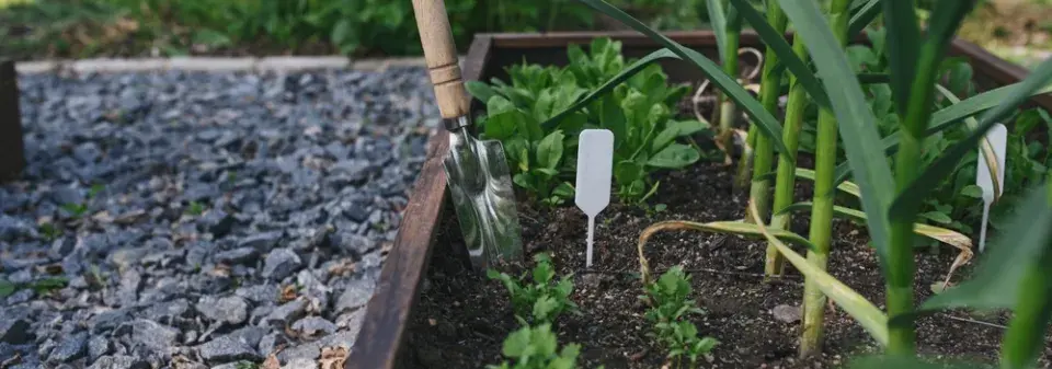 Bylinkové cedulky: Inspirace z praxe i originální DIY nápady