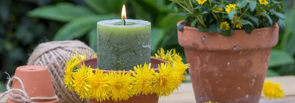 Jarní dekorace z pampelišky