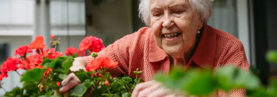 Péče o balkonové rostliny