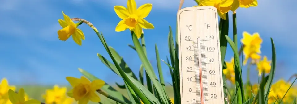 Ledoví muži a jejich dopad na zahradu