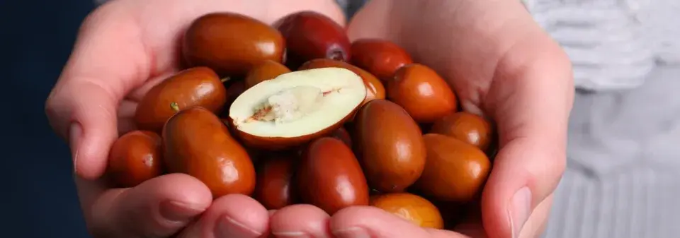 Starobylá ovocná dřevina jujuba