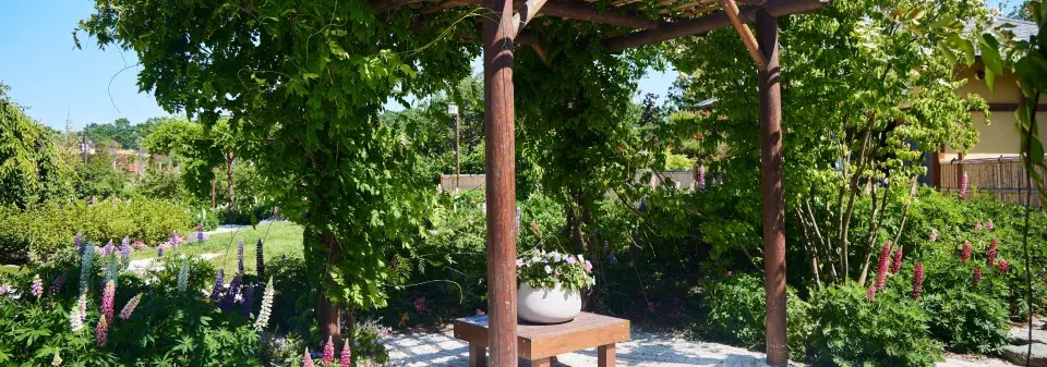 Pergola na zahradě