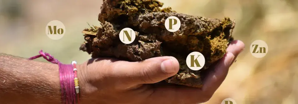 Podzimní hnojení zahrady a domácí pomocníci