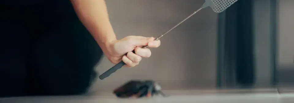  Skořice a bobkový list jako pomoc proti mouchám v bytě