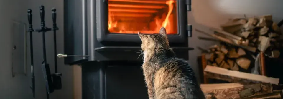Jak správně skládat palivové dřevo