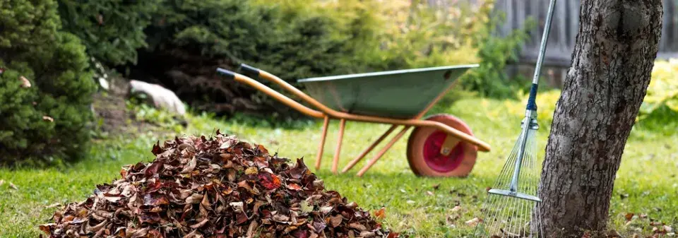 Práce na zahradě v říjnu