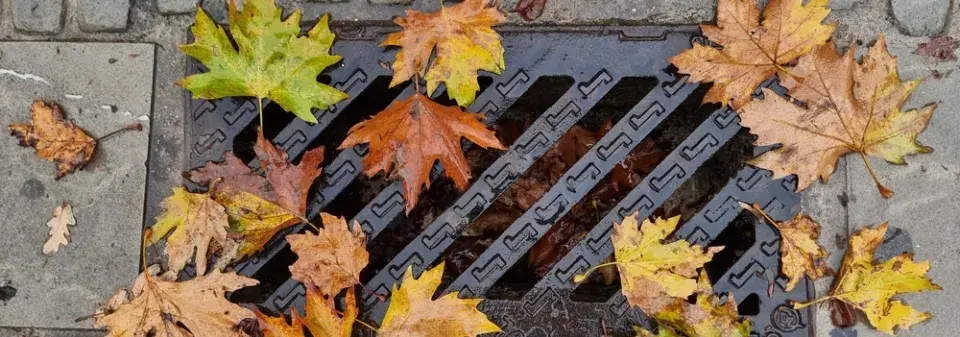 Jak zpracovat spadané listí při úklidu. Vyrobte si mulč sekačkou