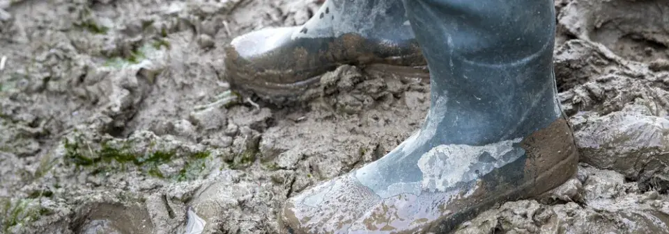 I v zahradách s podmáčenou půdou je možné něco pěstovat