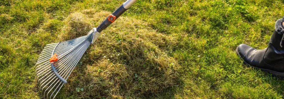 Mech v trávníku odstraníte vertikutací, provzdušněním a správnou podzimní péčí