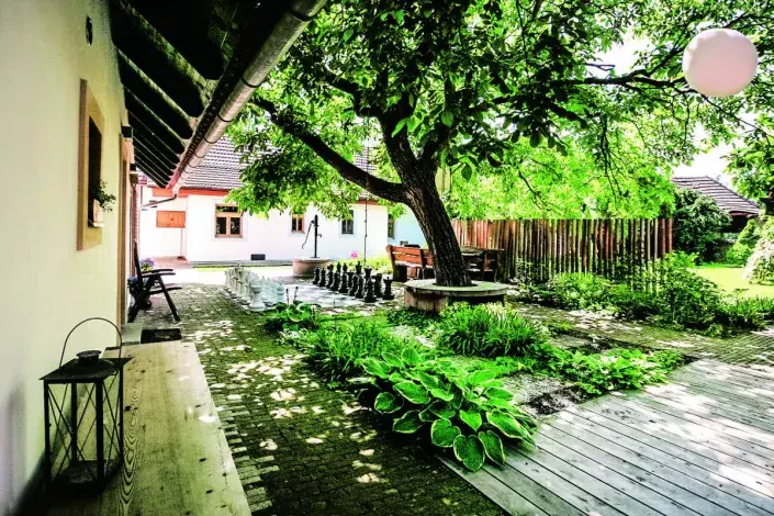 Strom na dvorku Strom na dvorku