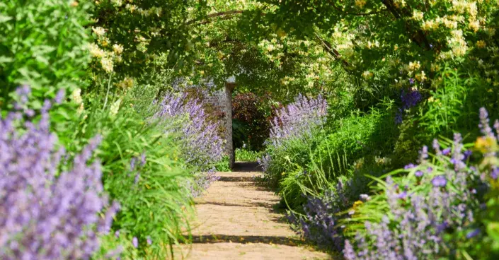 Přímá cesta zelení Přímá cesta zelení