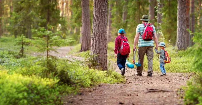 Procházka lesem Procházka lesem