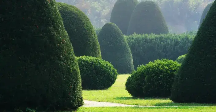 Anglický trávník a stříhané keře Anglický trávník a stříhané keře