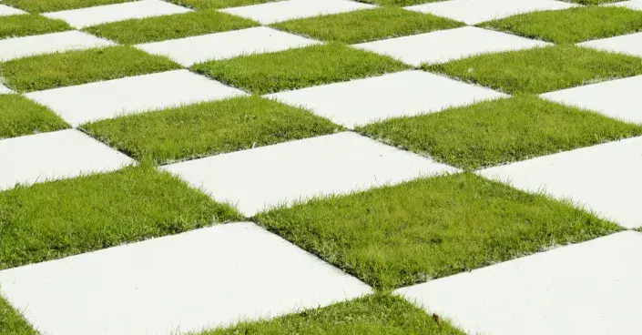 Trávníková šachovnice Trávníková šachovnice