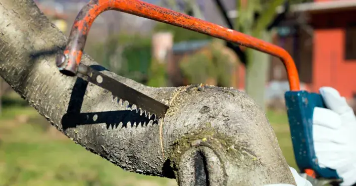 Řez pilou Řez pilou