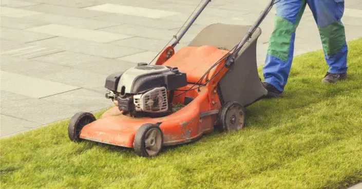 Vertikutace trávníku Vertikutace trávníku