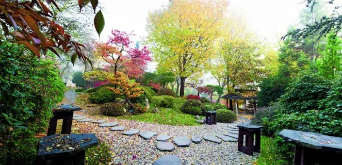 Japonská zahrada Japonská zahrada