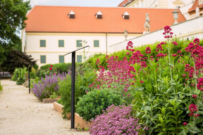 Bylinková zahrada ve Valticích