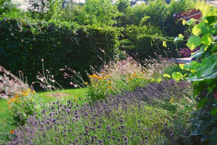 Rozčlenění zahrady