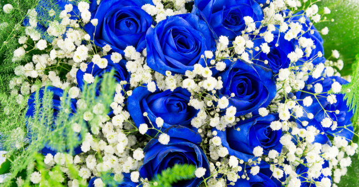 Kytice modrých růží