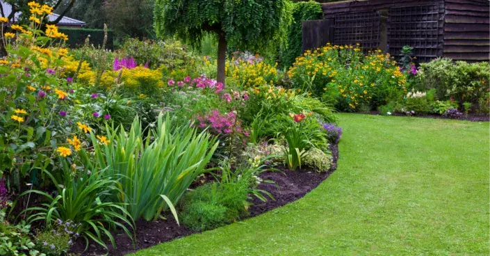 Dokonalý trávník Dokonalý trávník