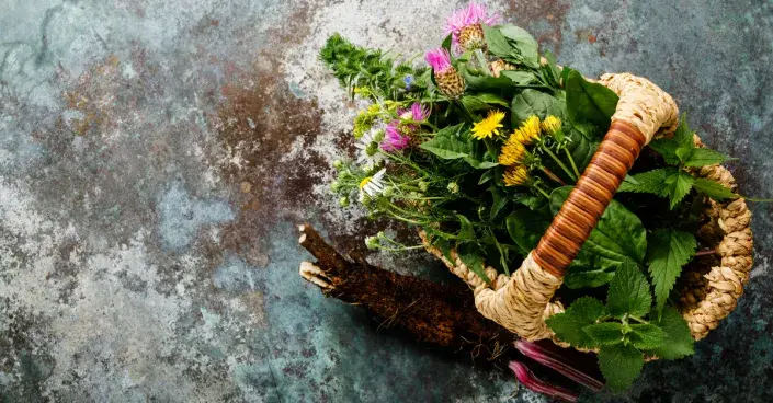 Koš plný léčivých bylin Koš plný léčivých bylin