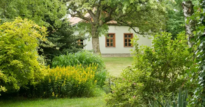 Příroda na zahradě Příroda na zahradě