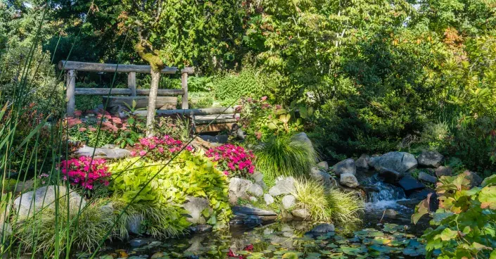 Zahradní jezírko Zahradní jezírko