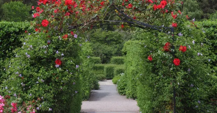 Formální zahrada Formální zahrada