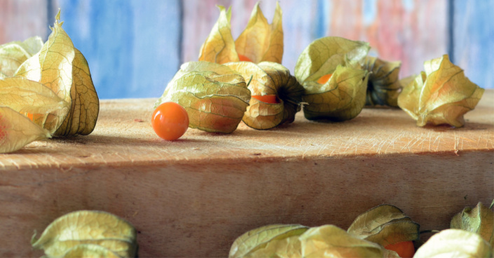 Plody mochyně peruánské (Physalis peruviana) Plody mochyně peruánské (Physalis peruviana)